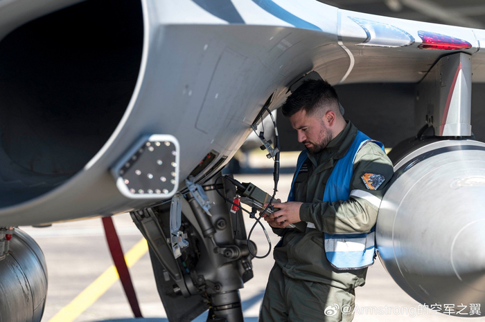 法国蒙德马桑空军基地阵风战斗机大象散步