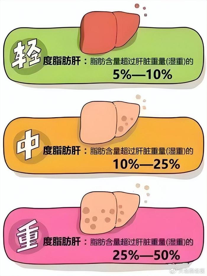 肝脏脂肪有多少?磁共振脂肪定量分析技术温柔告诉你