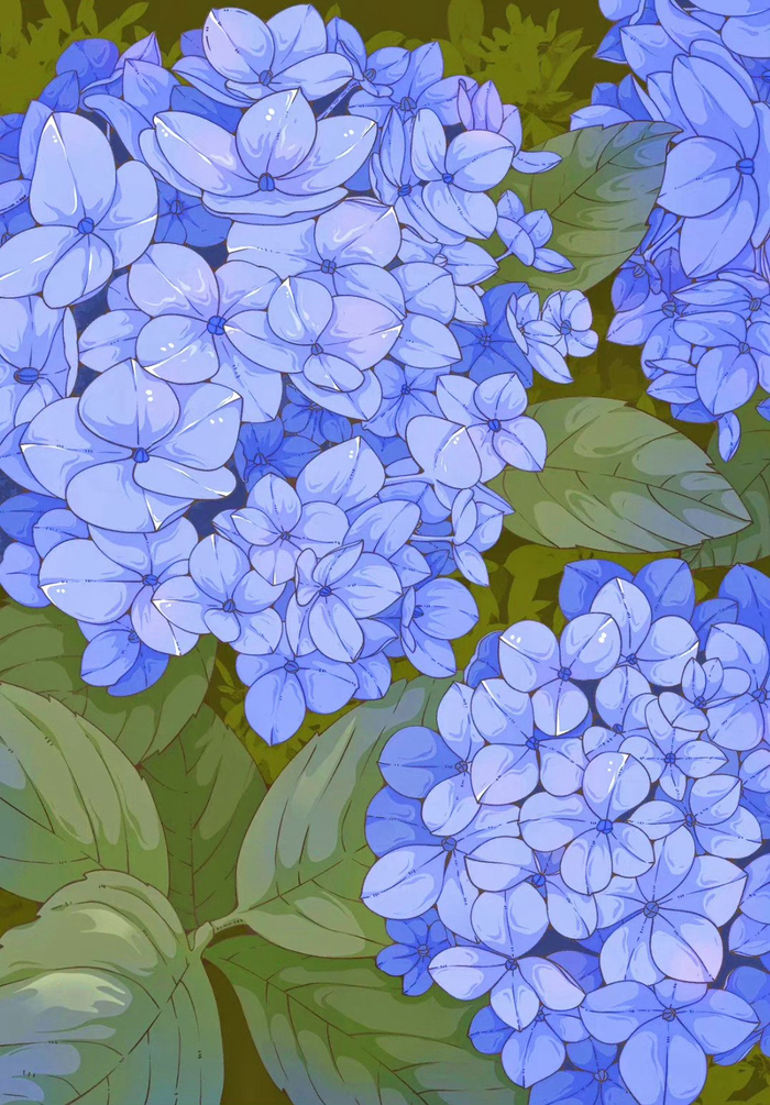 治愈系花卉插画 | 插画师:一棵楠木