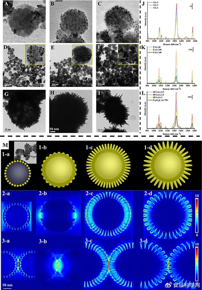 华南理工大学孙大文院士一种用于食品农药残留流动磁检测的榴莲状