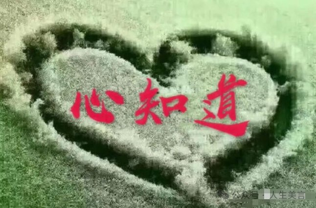 心,总要寒一次|寒心|苦与乐|死心_新浪新闻