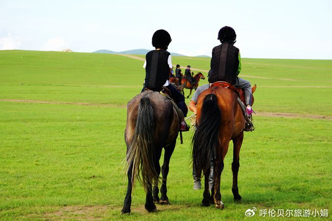 呼伦贝尔大草原马背旅行|草原骑马营6天5晚|马术学习|草原野骑的乐