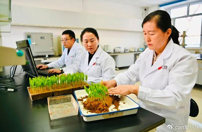 种子数据存储有新方案 浪潮信息为北大荒垦丰种业解难题__财经头条__新浪财经