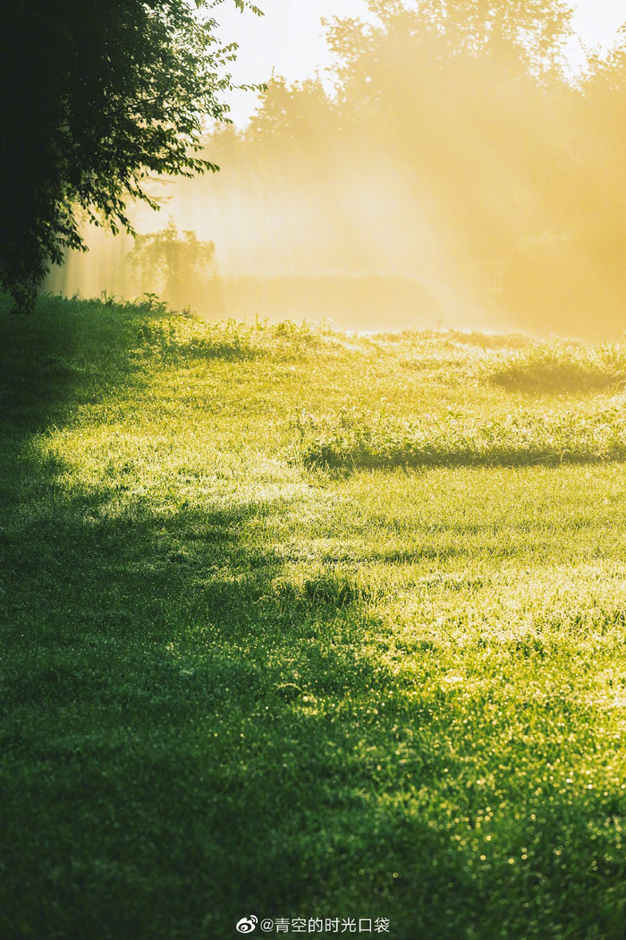 万物皆有裂痕那是光照进来的地方