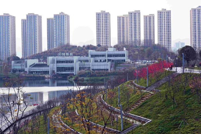 位于西部重庆科学城的凤鸣湖公园景观迷人