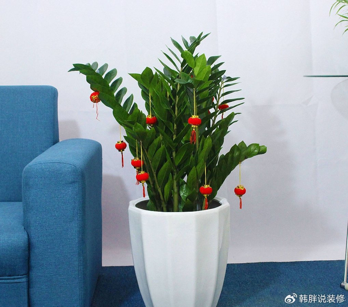 第二个财位:客厅