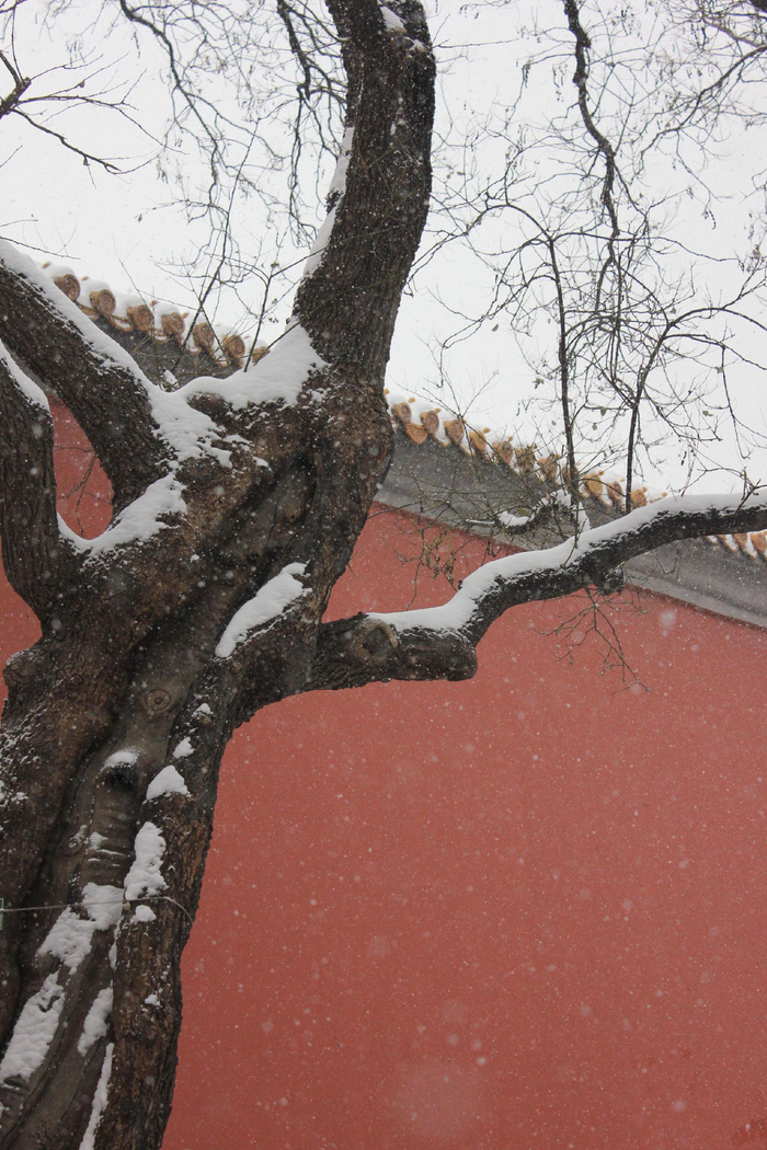 北京下雪了吗2020年7月26,2020北京下雪一般是什么时候 北京下雪了吗2020年7月26,2020北京下雪一般是什么时候