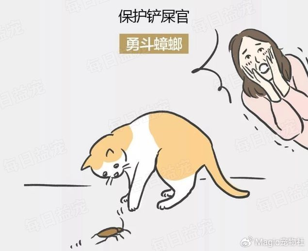 是不是很好奇,猫咪这种生物,除了"取悦"咱们,还能干啥呢?