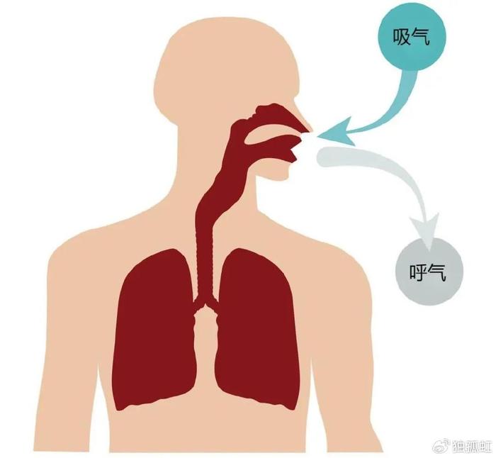 如何解放你的鼻子