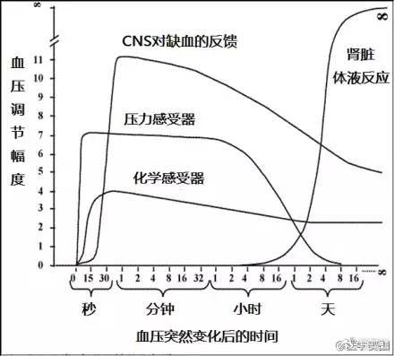 15张高血压医学美图,一文搞定高血压!|高血压|美图|血压