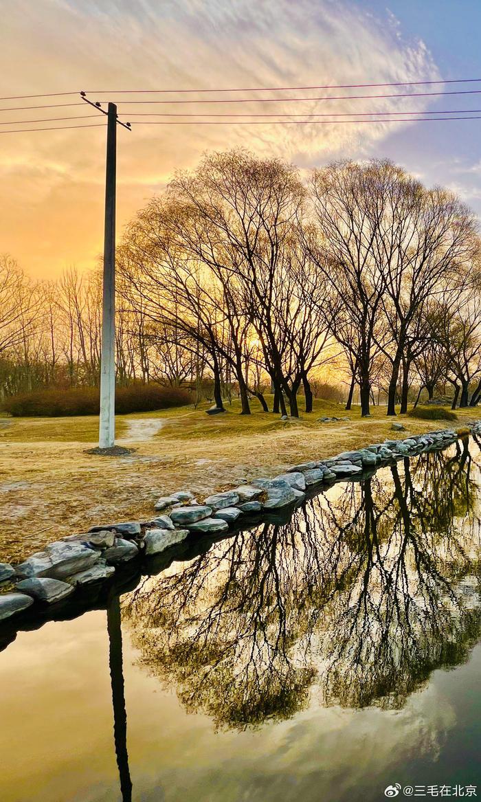 北京 圆明园遗址公园 冬日美景 摄影
