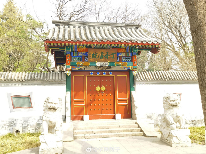 好久没去宣武艺园了