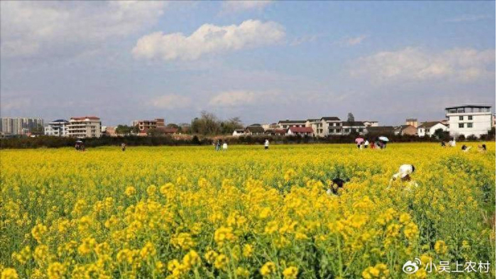 发现一个怪象：越没钱的人越爱高调攀比，越有钱的人越低调