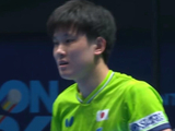 遭33岁老将碾压！张本智和惨败世排106何谈统治？日乒一哥上限已定