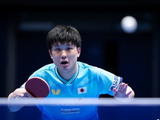 日乒男团3-1德国晋级四强！张本智和独取2分 松岛3-1邱党克服心魔