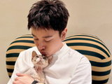 贾乃亮被传离婚后藏儿子，本人晒抱猫照回应：凭空多个儿子，就这一个