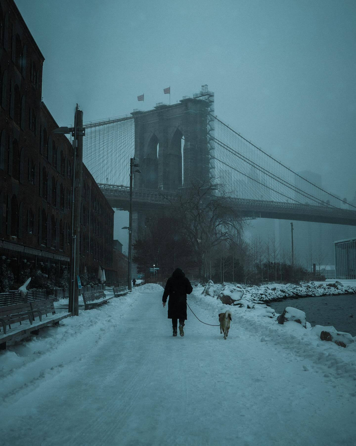 纽约的冬天街头摄影师rikslegrand