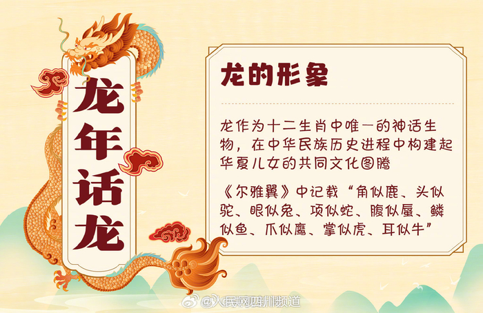 转存!龙的知识点