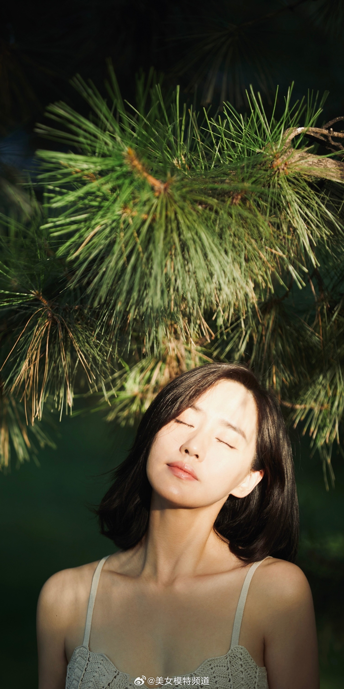 王智森系治愈写真