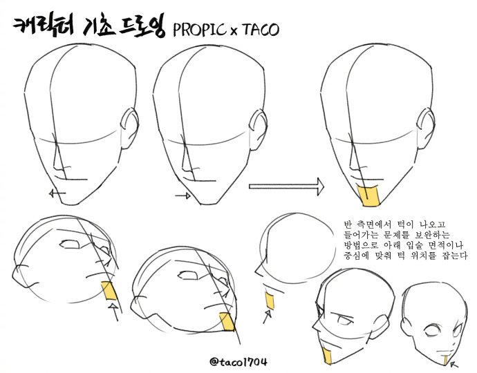画师타코작가的头部教程分享 twi taco1704