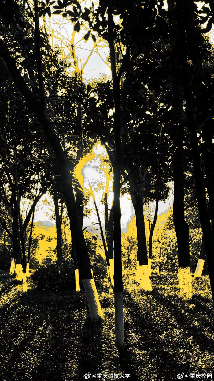 当丁达尔效应出现的时候,光就有了形状