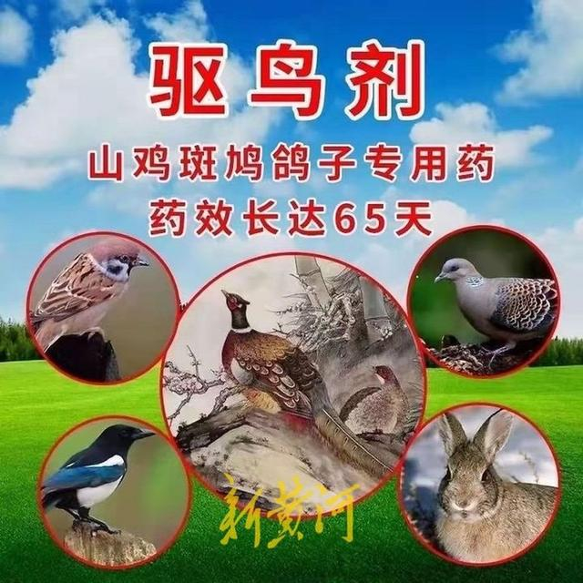 常平seo关键词优化哪家好