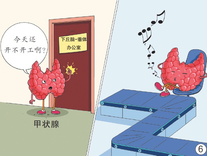 甲亢、甲减，是怎么找上脖子的？|甲状腺|甲减|甲亢_新浪新闻