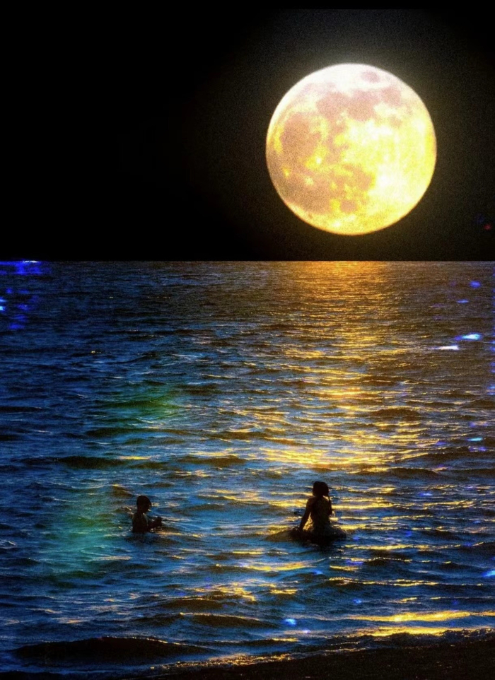 "星光" | hassan月光如繁星般洒落于尘世,点缀着地球的每一个角落