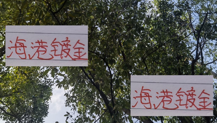 中超BIG4谁最强？不是海港穆斯卡特 而是成都蓉城徐正源