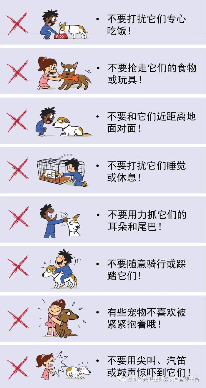 狂犬病携带动物表现图片