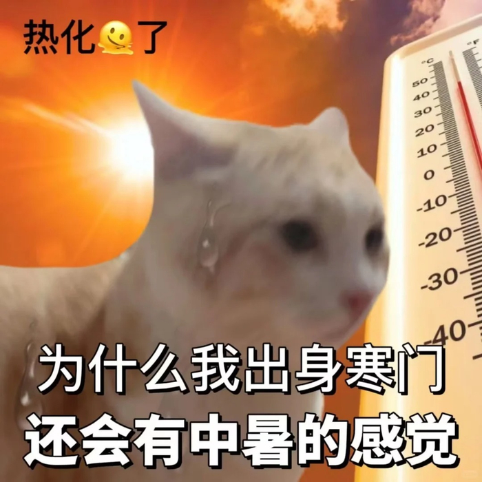 40℃! 很喜欢这种天气, 有一种谁都别想活的感觉