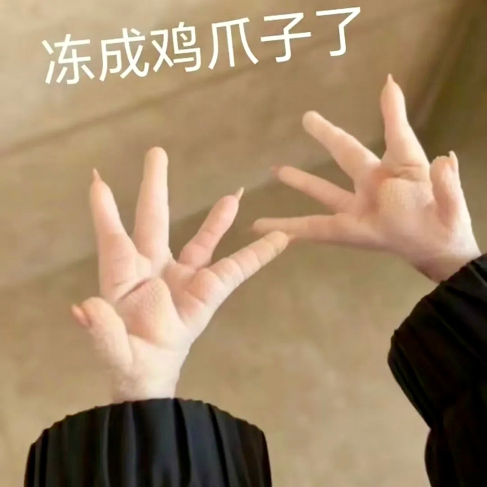 表情包丨冻成鸡爪子了