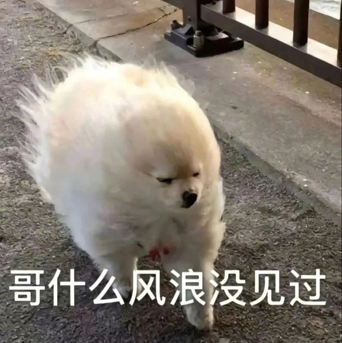 萌趣表情包,让聊天更有料 拿图请顺便吱一声 很难有动力发图了