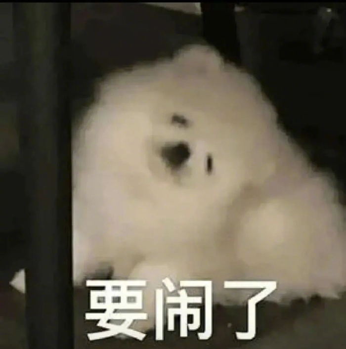 表情包再气我我跳下去拿图点赞吱声