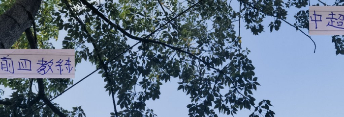 今年前4名教练 明年还能“再见”吗 其他球队不知道 但申花肯定稳