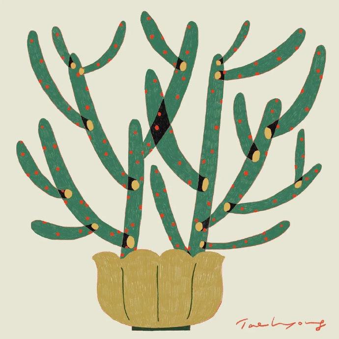 taehyoung jeon 植物插画创意欣赏