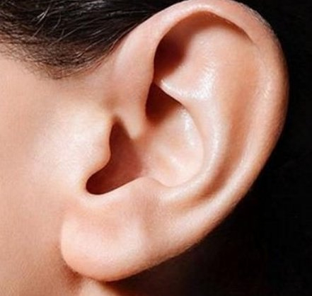 大耳:稳重谨慎头脑清醒;耳大耳门亦大,耳门宽大,一般来说,都是心胸