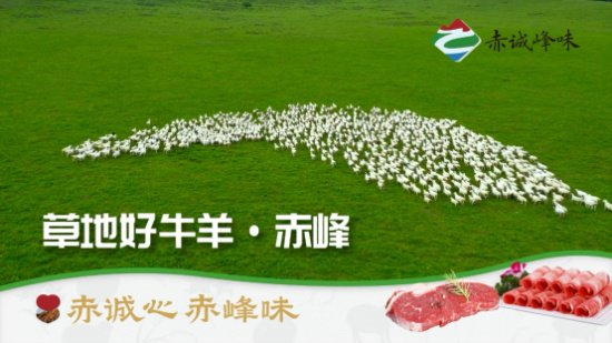 "赤诚峰味"强势登陆cctv 打造农产品区域公共品牌亮眼名片|农产品