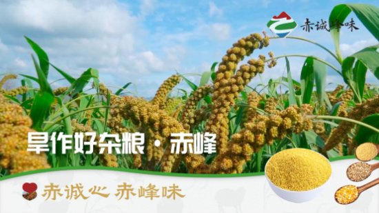 赤诚峰味强势登陆cctv打造农产品区域公共品牌亮眼名片