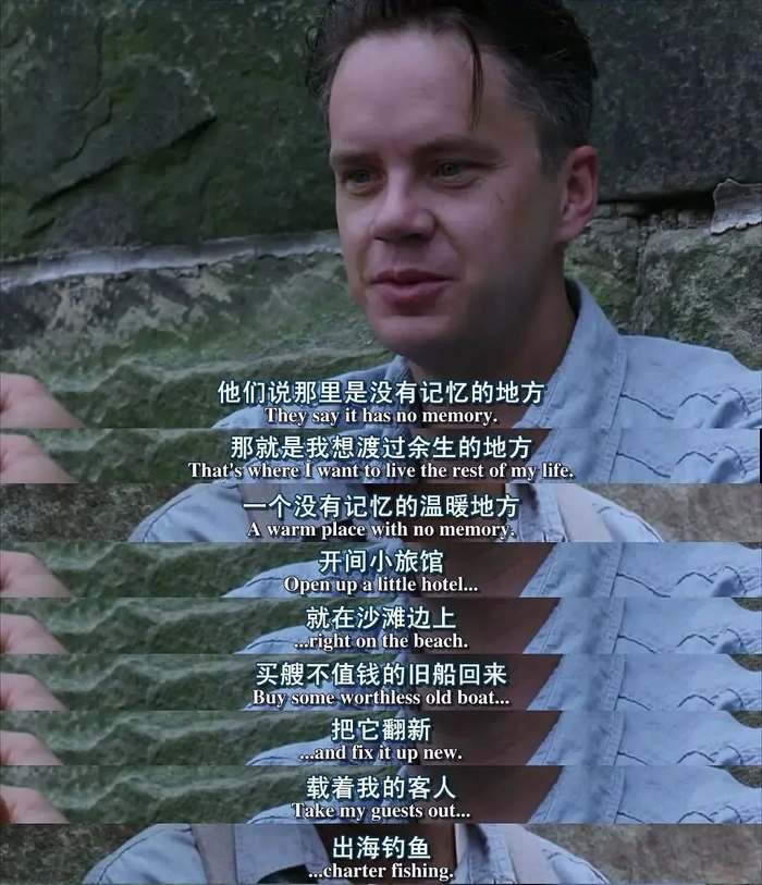 seo查询快速排名