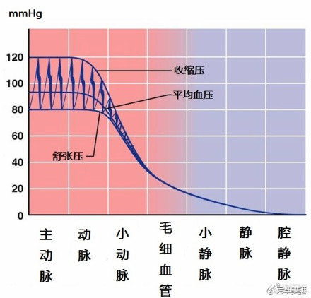 15张高血压医学美图,一文搞定高血压!|血管|截面积|示意图|肾素|醛固酮_新浪新闻
