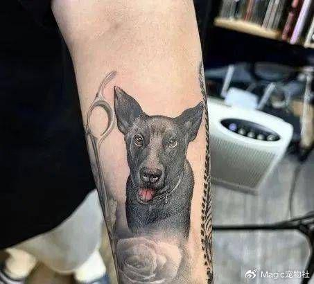 过去一看……原来是豆腐渣工程|活埋|狗子|狗狗_新浪新闻