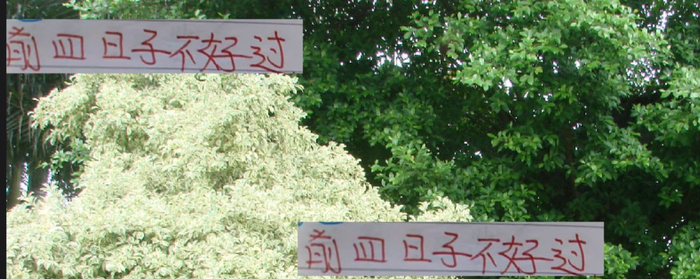 除榜首成都！前4 日子都不好过 申花名宿曹赟定直接锐评教练