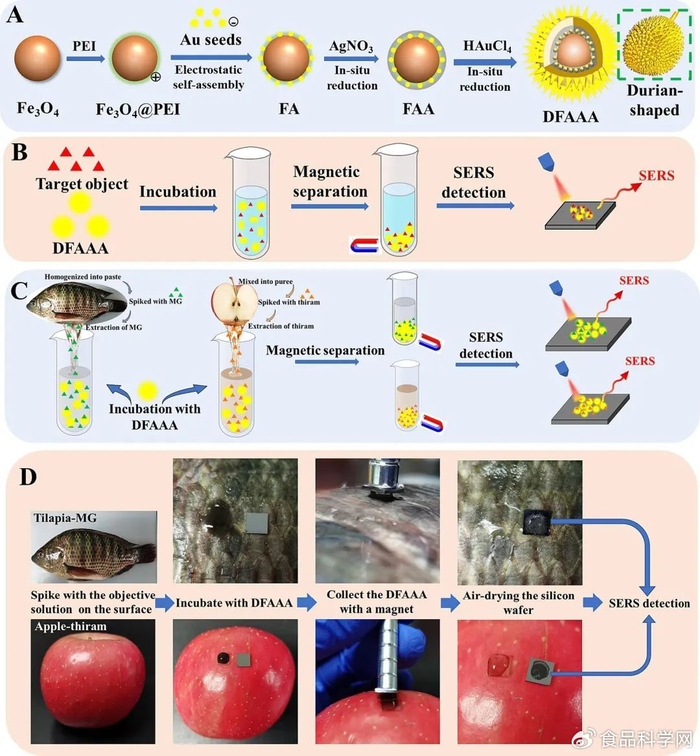华南理工大学孙大文院士一种用于食品农药残留流动磁检测的榴莲状