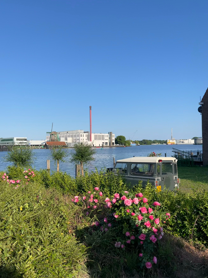 荷兰的热情夏天