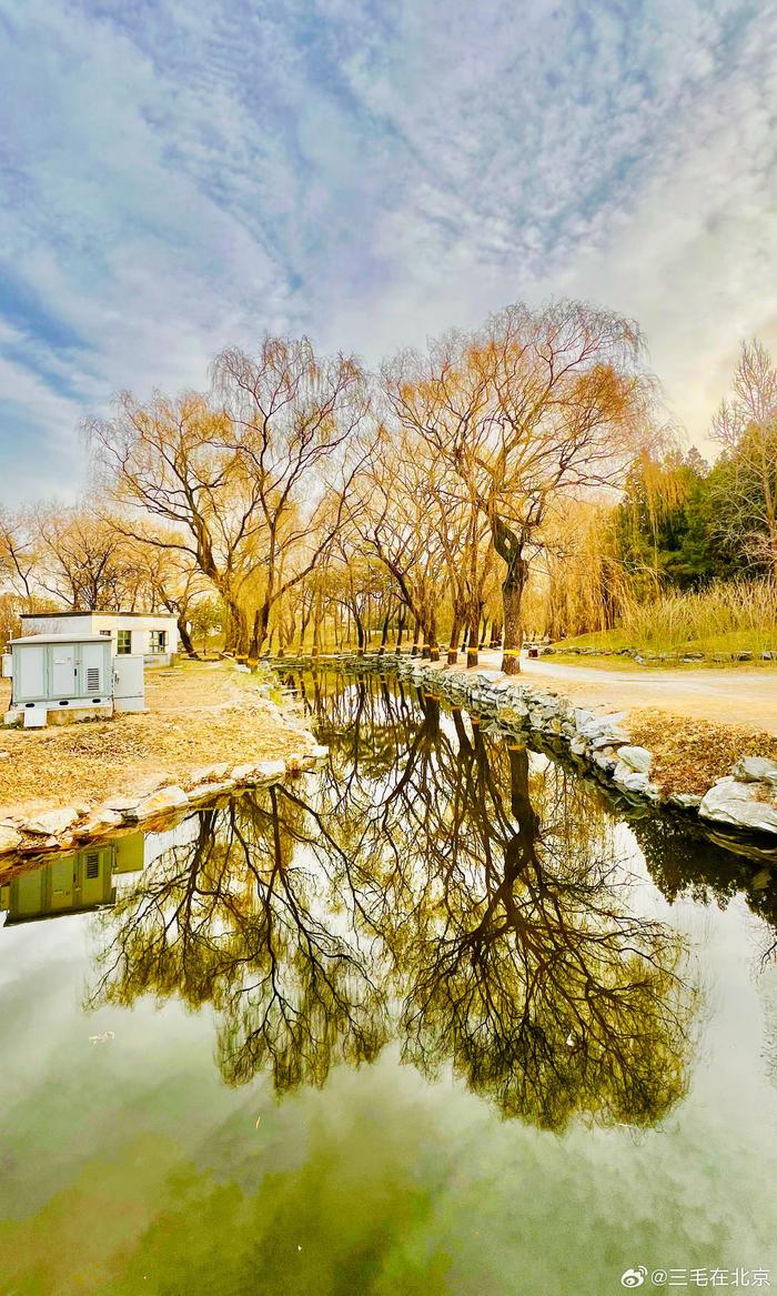 北京 圆明园遗址公园 冬日美景 摄影