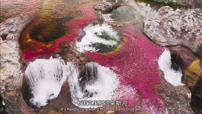 《沧城》：一个女人需要经历多少苦痛，才能做自己