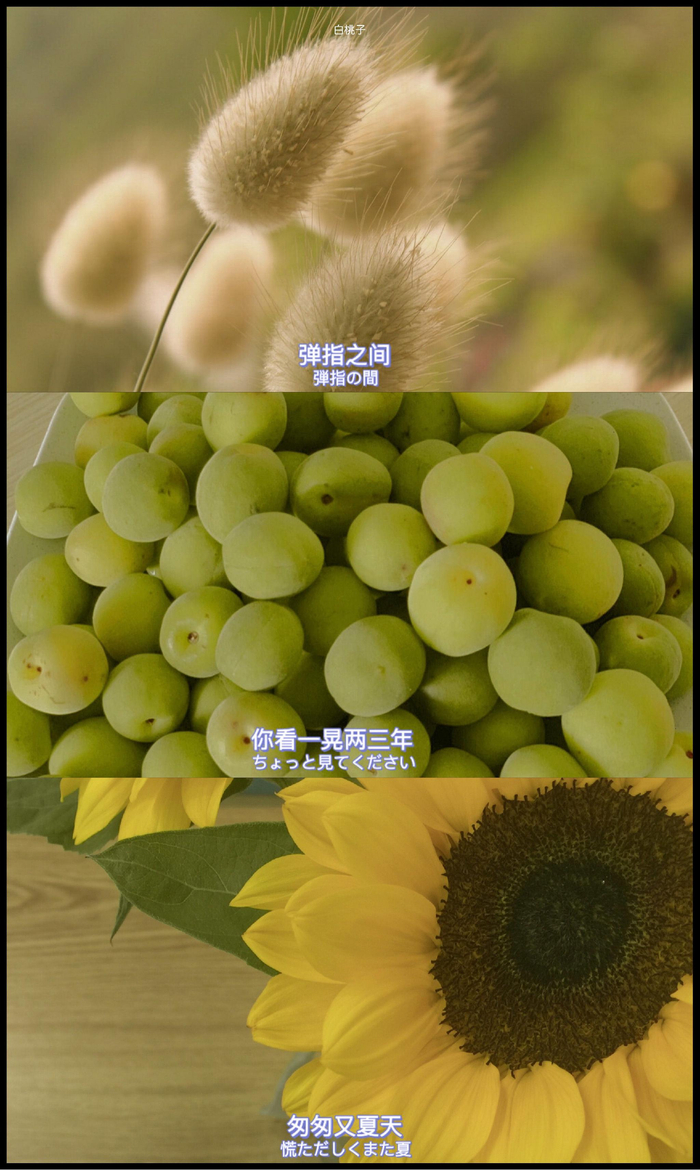 “晚点遇见吧,我刚好成熟,你刚好温柔”__财经头条