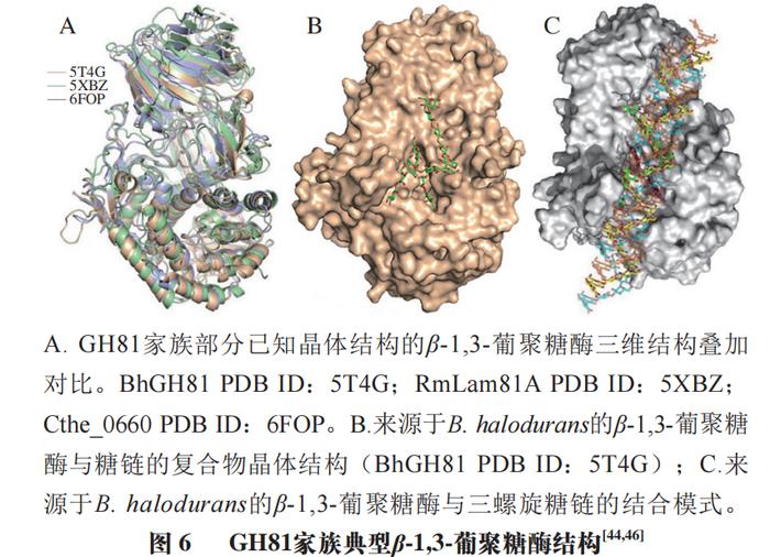 上海大学高海燕教授,秦臻副教授等:β