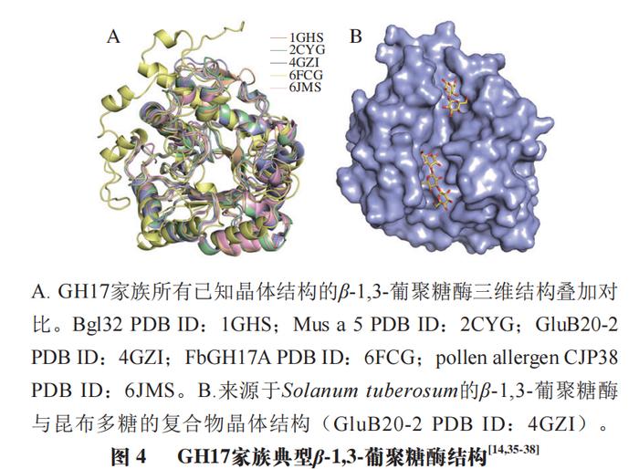 上海大學高海燕教授秦臻副教授等β13葡聚糖酶的結構功能